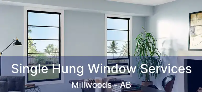  Single Hung Window Services Millwoods - AB