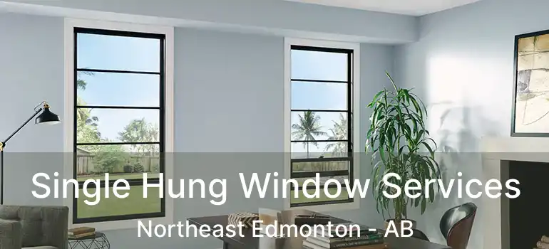  Single Hung Window Services Northeast Edmonton - AB