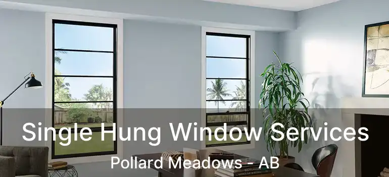  Single Hung Window Services Pollard Meadows - AB