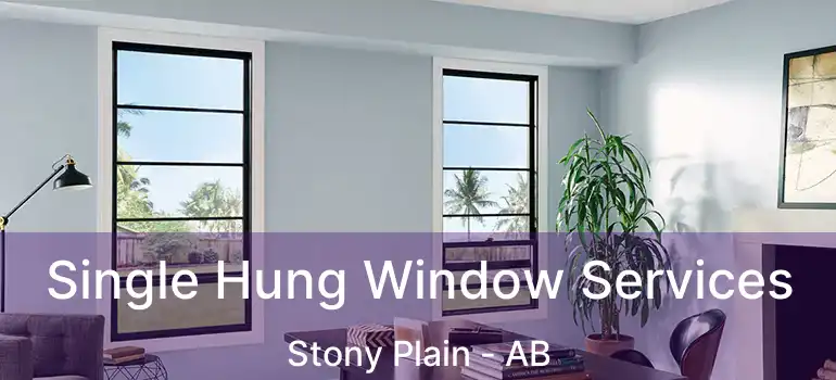  Single Hung Window Services Stony Plain - AB