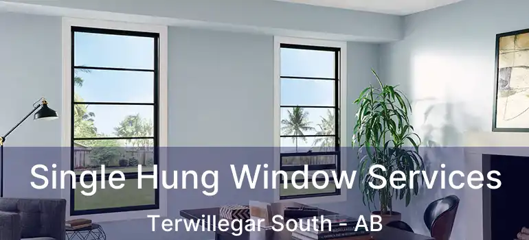  Single Hung Window Services Terwillegar South - AB