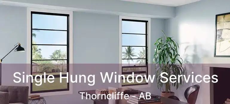  Single Hung Window Services Thorncliffe - AB