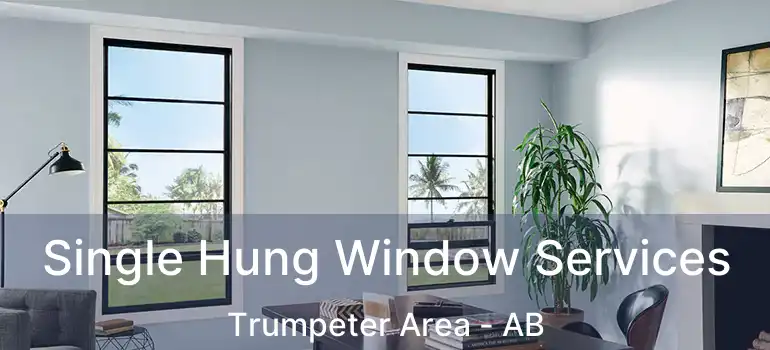  Single Hung Window Services Trumpeter Area - AB