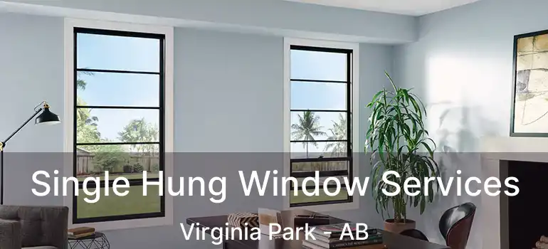  Single Hung Window Services Virginia Park - AB