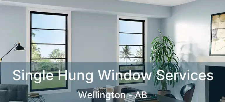  Single Hung Window Services Wellington - AB