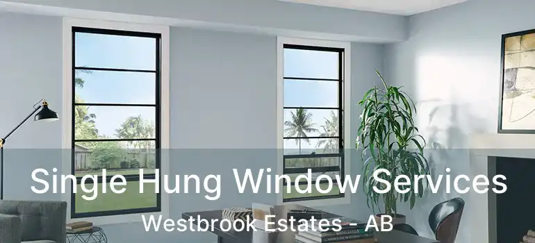  Single Hung Window Services Westbrook Estates - AB