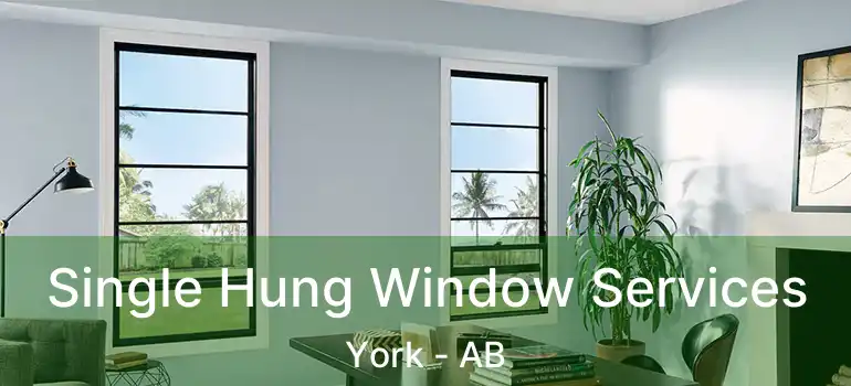  Single Hung Window Services York - AB
