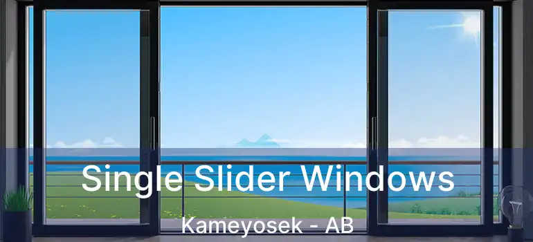  Single Slider Windows Kameyosek - AB