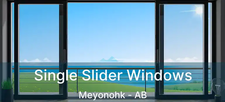  Single Slider Windows Meyonohk - AB