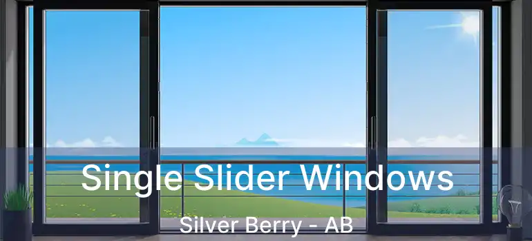  Single Slider Windows Silver Berry - AB