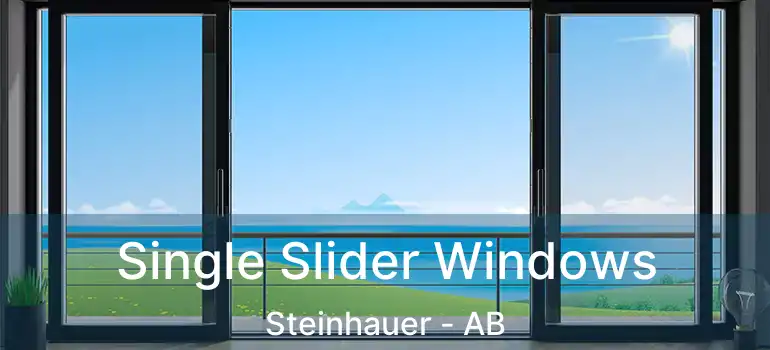  Single Slider Windows Steinhauer - AB
