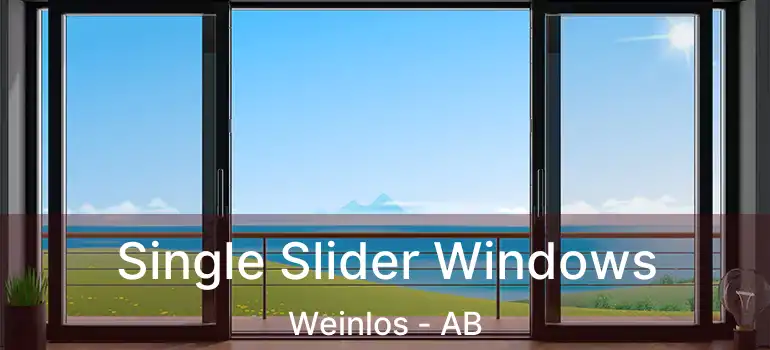 Single Slider Windows Weinlos - AB
