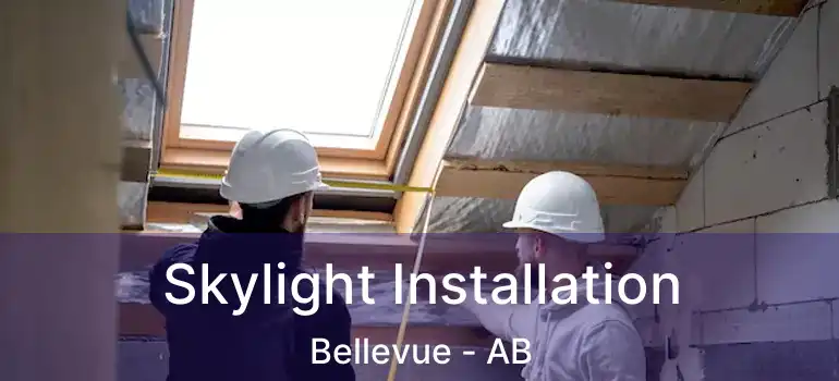  Skylight Installation Bellevue - AB