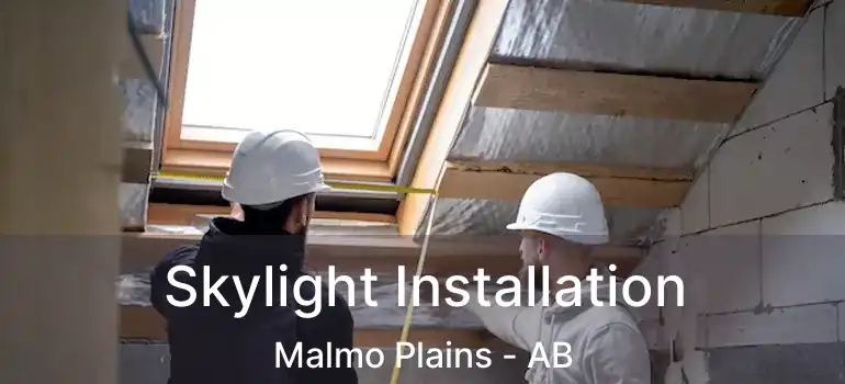  Skylight Installation Malmo Plains - AB