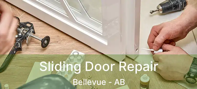  Sliding Door Repair Bellevue - AB