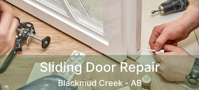  Sliding Door Repair Blackmud Creek - AB