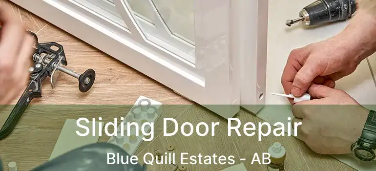  Sliding Door Repair Blue Quill Estates - AB