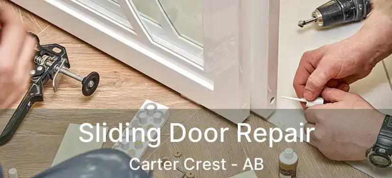  Sliding Door Repair Carter Crest - AB