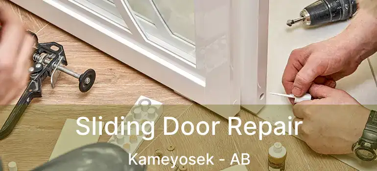  Sliding Door Repair Kameyosek - AB
