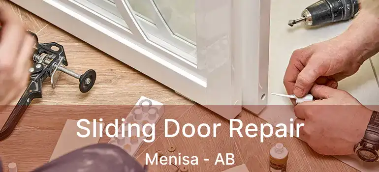  Sliding Door Repair Menisa - AB