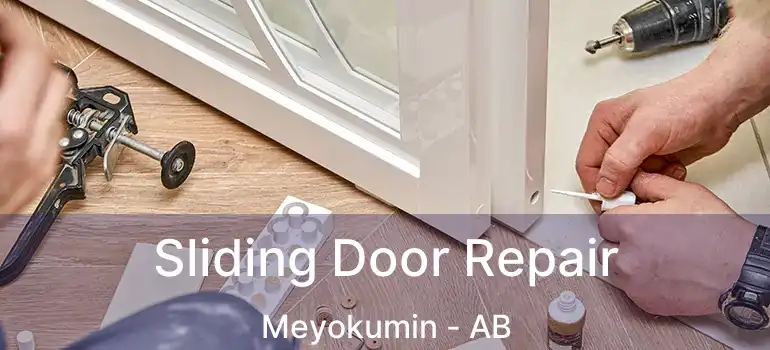  Sliding Door Repair Meyokumin - AB