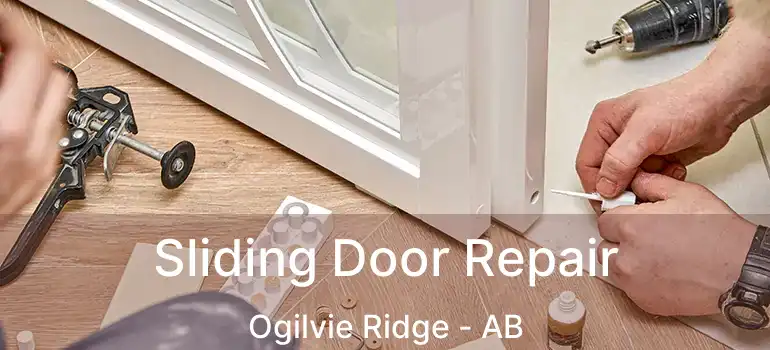  Sliding Door Repair Ogilvie Ridge - AB