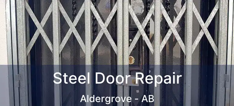  Steel Door Repair Aldergrove - AB