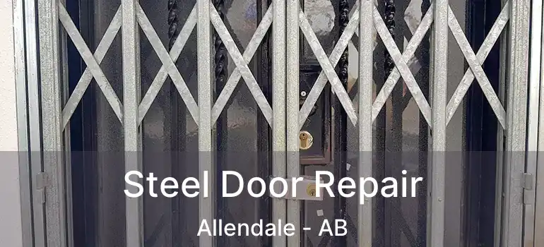 Steel Door Repair Allendale - AB