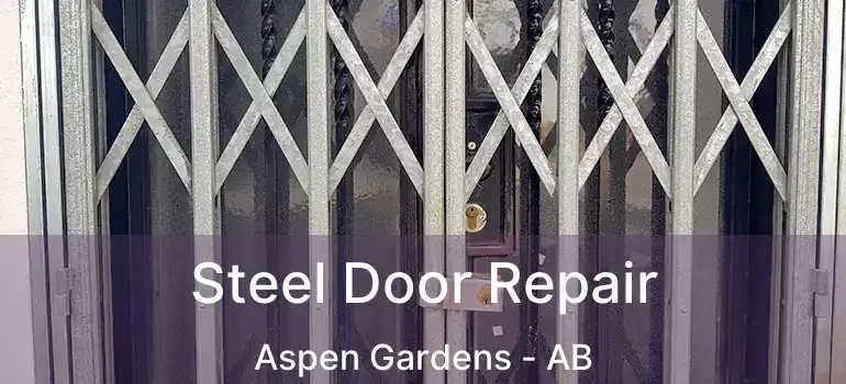  Steel Door Repair Aspen Gardens - AB