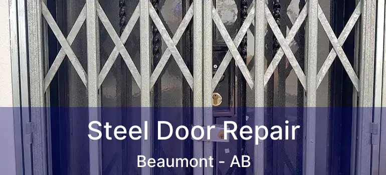  Steel Door Repair Beaumont - AB