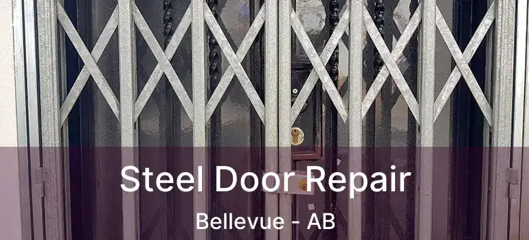 Steel Door Repair Bellevue - AB