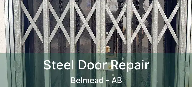  Steel Door Repair Belmead - AB