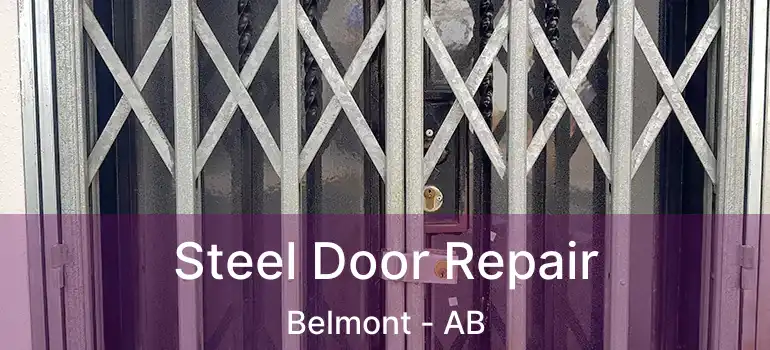  Steel Door Repair Belmont - AB