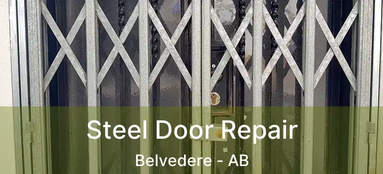  Steel Door Repair Belvedere - AB