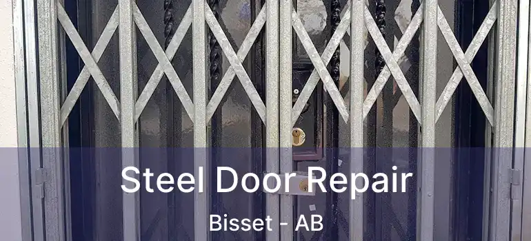  Steel Door Repair Bisset - AB