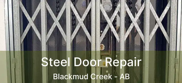  Steel Door Repair Blackmud Creek - AB