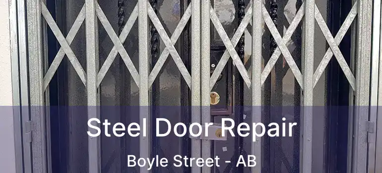  Steel Door Repair Boyle Street - AB