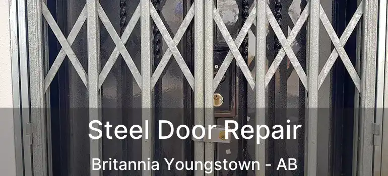  Steel Door Repair Britannia Youngstown - AB