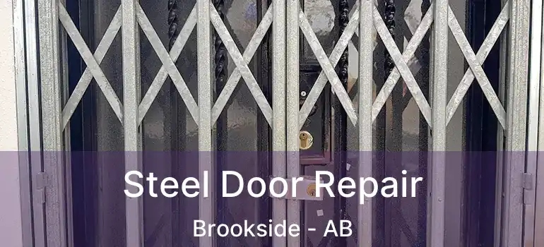  Steel Door Repair Brookside - AB