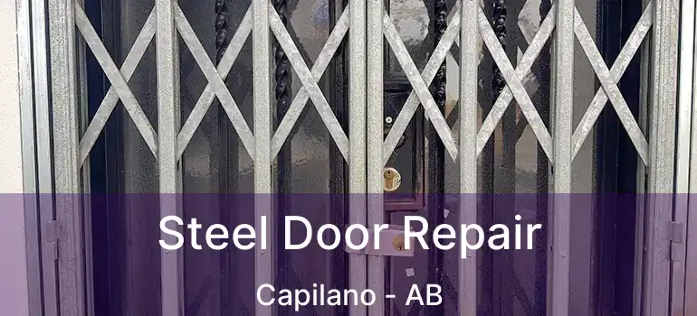  Steel Door Repair Capilano - AB