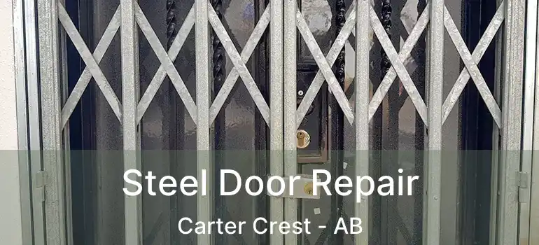  Steel Door Repair Carter Crest - AB