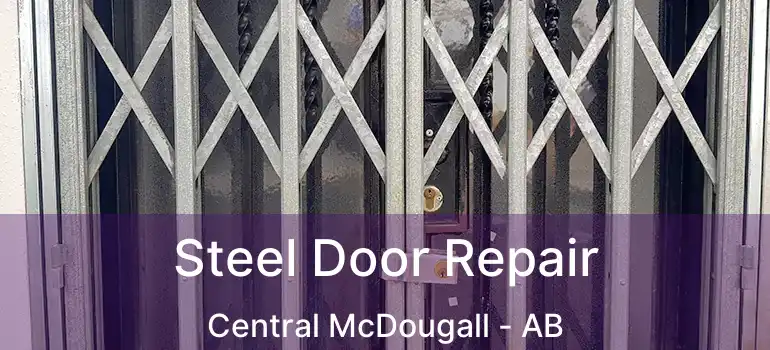  Steel Door Repair Central McDougall - AB