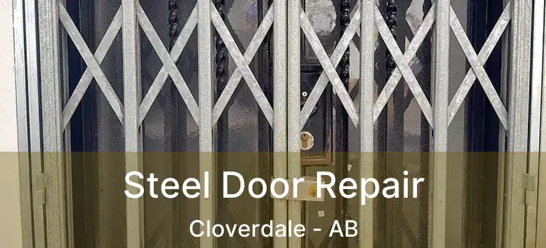  Steel Door Repair Cloverdale - AB