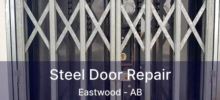  Steel Door Repair Eastwood - AB