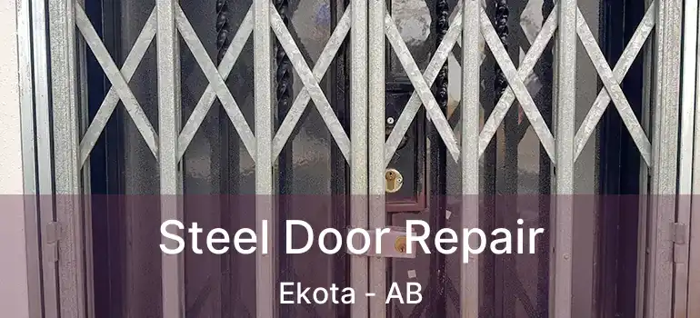  Steel Door Repair Ekota - AB