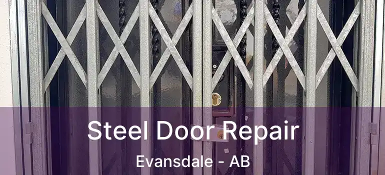  Steel Door Repair Evansdale - AB