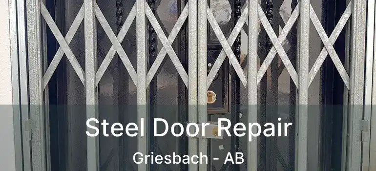  Steel Door Repair Griesbach - AB