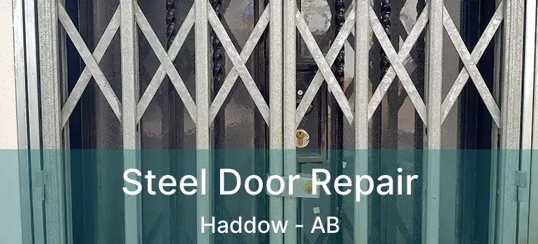  Steel Door Repair Haddow - AB