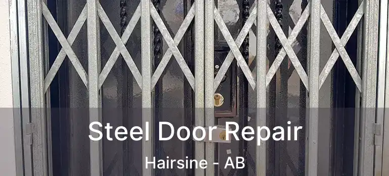  Steel Door Repair Hairsine - AB