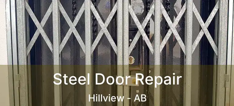  Steel Door Repair Hillview - AB